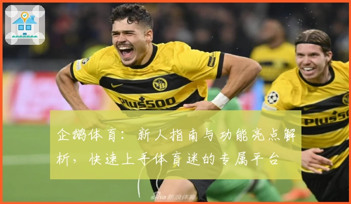 企鹅体育：新人指南与功能亮点解析，快速上手体育迷的专属平台