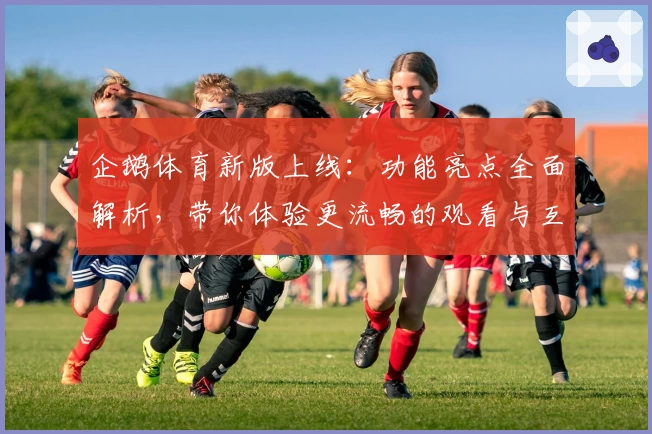 企鹅体育新版上线：功能亮点全面解析，带你体验更流畅的观看与互动