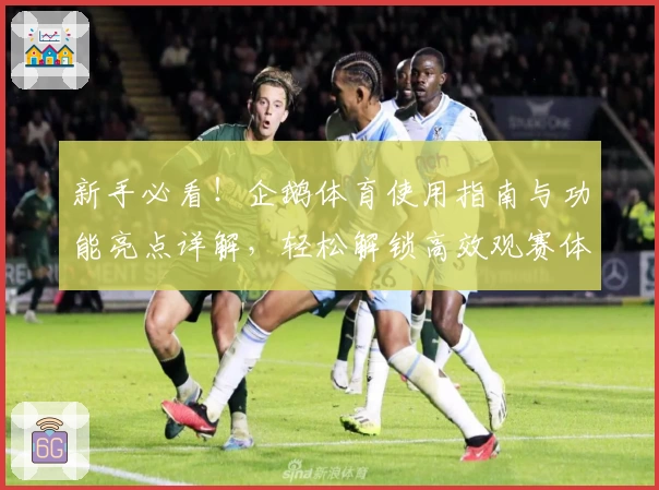 新手必看!企鹅体育使用指南与功能亮点详解,轻松解锁高效观赛体验