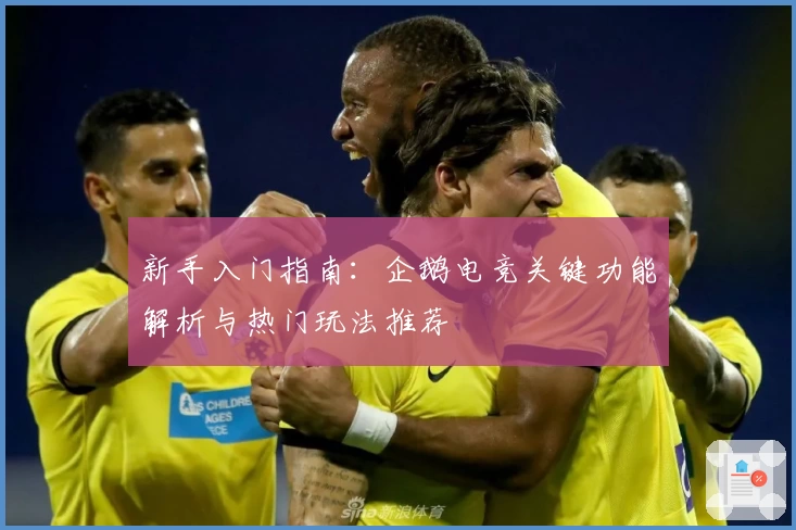 新手入门指南：企鹅电竞关键功能解析与热门玩法推荐