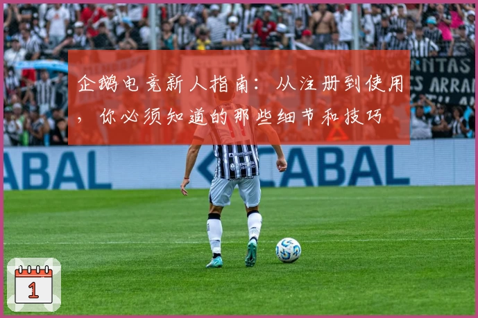 企鹅电竞新人指南：从注册到使用，你必须知道的那些细节和技巧